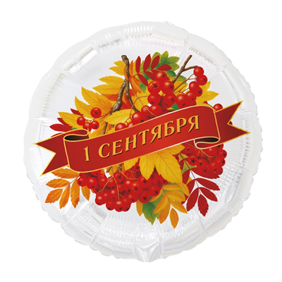 Воздушный шар круг с гелием «1 сентября. Рябина» 18″/45см